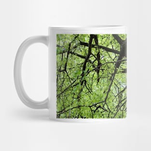 Green Tree Branches Mug